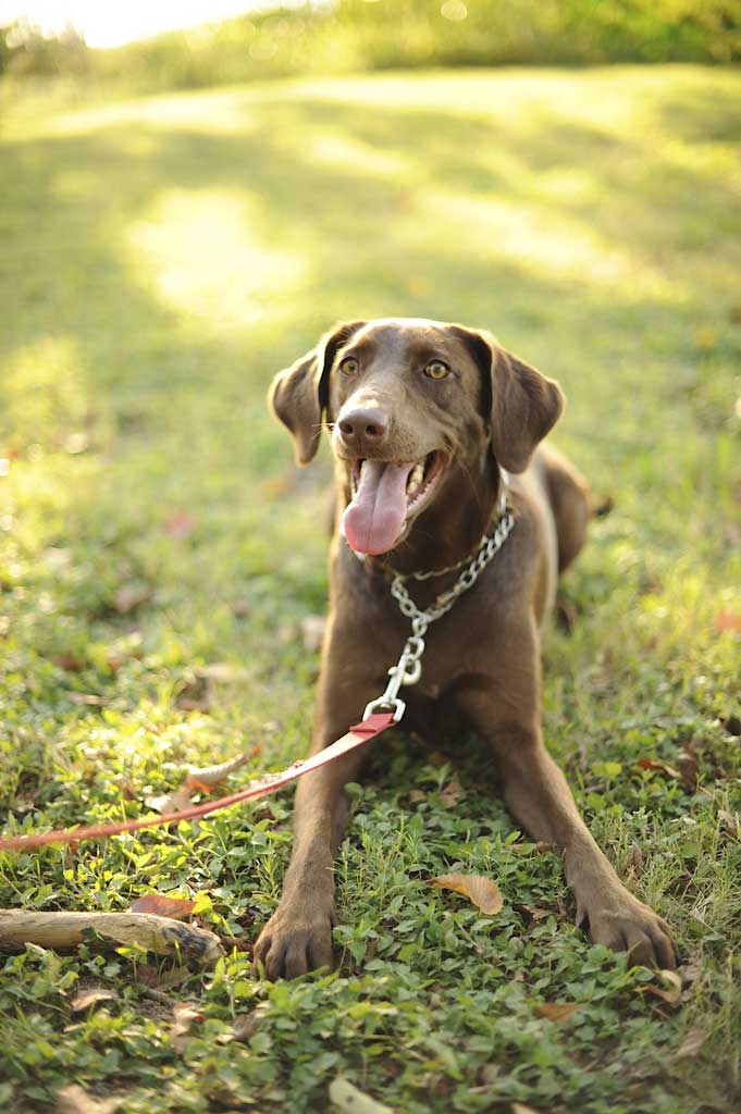 lexie-engagement-pic